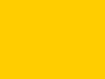 el-paico-300-5.gif