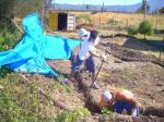 dscn6070.jpg