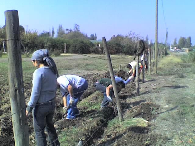 10-05-08_1342.jpg